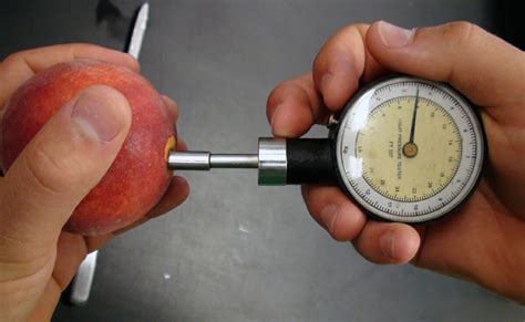 refractometer apples|apple fruit firmness chart.